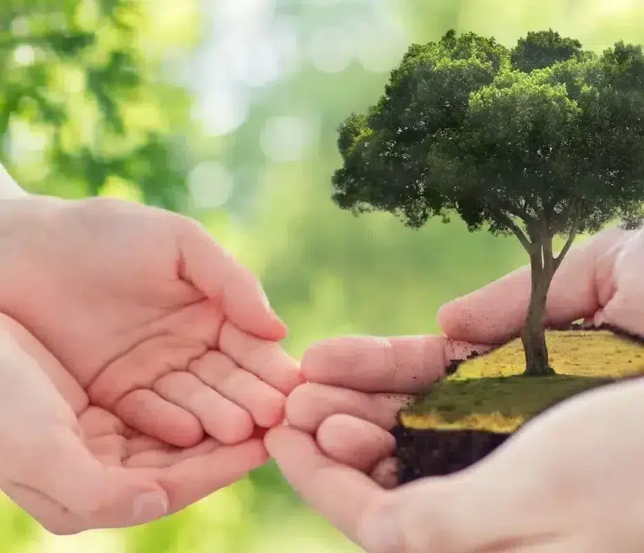 Plant-your-legacy-with-planned-giving-Twitter-Post-crop-e1689269170571.webp